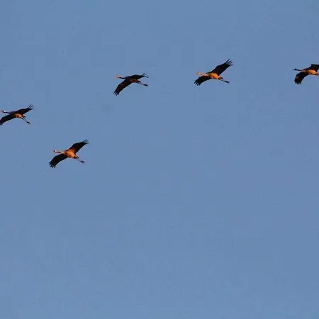 Breakwater Comfortable *